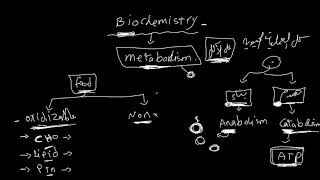 Introduction to biochemistry [upl. by Ansela]