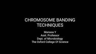 Chromosome banding techniques [upl. by Ainit]