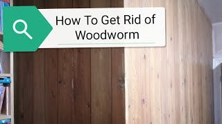 How To Get Rid Of Woodworm [upl. by Valery131]