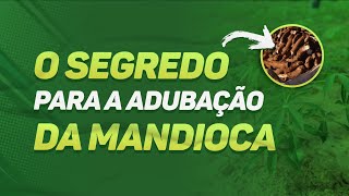 O SEGREDO para a adubação da mandioca  MUITO IMPORTANTE [upl. by Aileno903]