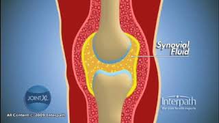 Synovial Fluid [upl. by Shaner]