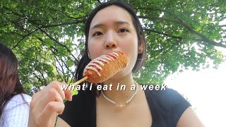 what i eat in a week summer edition  korean food [upl. by Nwhas]