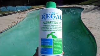 Kill Algae using Regal Algaecide 60 Polyquat [upl. by Koralie]