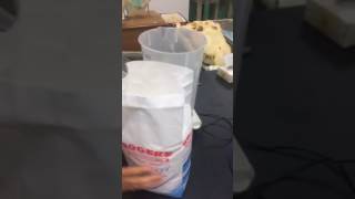 Making Sucrose solution 1 [upl. by Nemad]