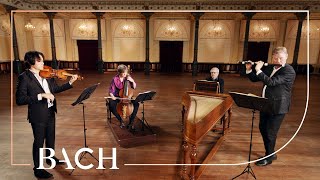 Bach  Trio Sonata from The Musical Offering BWV 1079  Netherlands Bach Society [upl. by Dustan869]