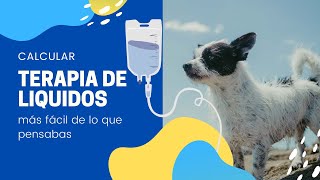 ¡¡¡CALCULA TERAPIA DE LIQUIDOS EN PERROS Y GATOS FACIL [upl. by Sussi]