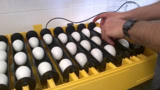 Brinsea Ovation 56 EX Egg Incubator [upl. by Cohbert]