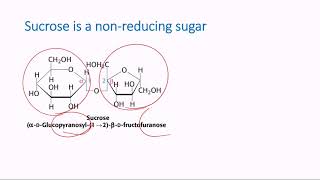 Nonreducing Sugars [upl. by Reich]