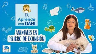 Animales en peligro de extinción Aprende con Dani [upl. by Cilla814]