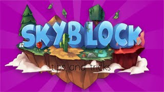 10 INSANE tips and tricks for Cubecraft Skyblock [upl. by Lu242]