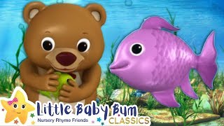 1 2 3 4 5 Once I Caught A Fish Alive Song  More Nursery Rhymes amp Kids Songs  Little Baby Bum [upl. by Giuliana]