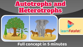 Class 7 Science Chapter 1 Nutrition in Plants  Autrotrophs and Heterotrophs  CBSE  Learnfatafat [upl. by Nylad513]