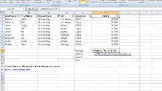 Using Excels Subtotal Function with Filters in Excel [upl. by Atnas]