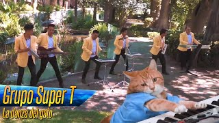 Grupo Super T  La danza del gato  Video Oficial [upl. by Neirb]