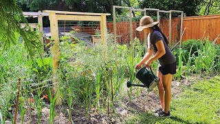 How to Use Worm Castings  Organic Gardening [upl. by Blayne]