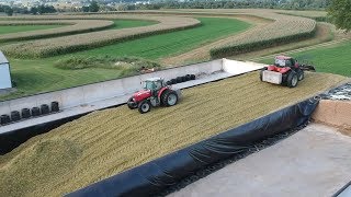 Corn Silage Harvest Begins  Filling the Big Bunk [upl. by Anaile985]