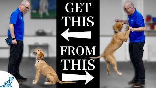 Teach Your Dog To Stop Jumping Up In 4 Simple Steps [upl. by Niltiak]