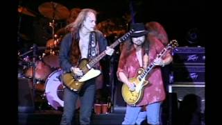 Lynyrd Skynyrd  Simple Man Lyve From Steel Town [upl. by Bethena]