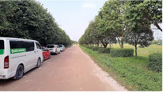 পূর্বাচল আমেরিকান সিটি। Daily Vlog Purbachal American City [upl. by Linson681]