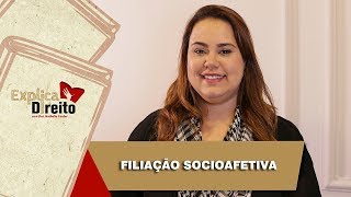 Explica Direito Filiação Socioafetiva  2019 [upl. by O'Neil]