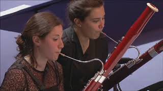 Beethoven Symphony No 4 bassoon Solo [upl. by Reema]