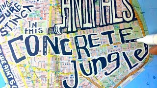 Concrete Jungle  Lyric Video [upl. by Stavro]