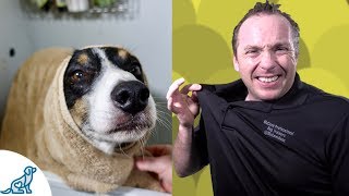 Simple Hacks To Bath Your Dog  Professional Dog Training Tips [upl. by Beller]