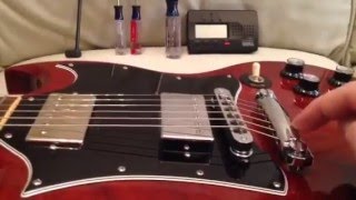 SG Guitars Quick Setup Specs [upl. by Nosredneh]