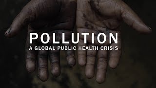 Pollution a global public health crisis [upl. by Tterrag]