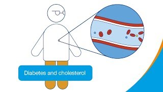 Diabetes and cholesterol  How it works  Diabetes UK [upl. by Edda]