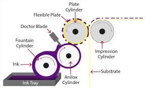 Flexographic Printing Explained [upl. by Cestar566]