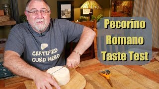 Pecorino Romano Taste Test [upl. by Gebler911]