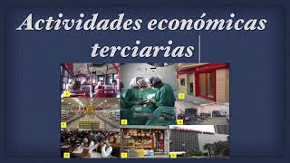 Actividades económicas terciarias [upl. by Aneelas]