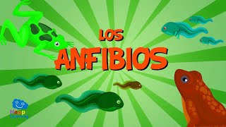 Los Anfibios  Vídeos Educativos para Niños [upl. by Enilekaj]