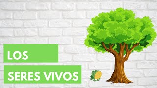 LOS SERES VIVOS 🌳🐣 Características en común  Resumen para niños [upl. by Dupre]