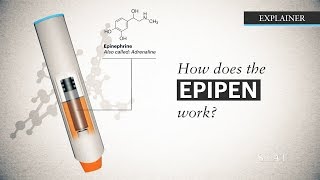 Epinephrine 11000 v 110000 [upl. by Edmonda161]