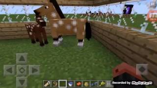 Como colocar sela e armadura no cavalo no minecraft [upl. by Jezrdna]