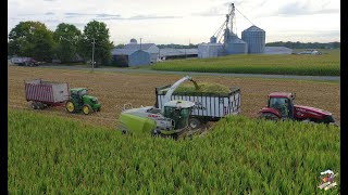 2020 Corn Silage Harvest at Congress Lake Farms [upl. by Demb]