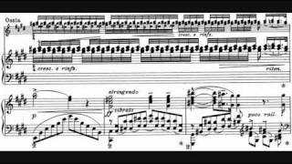 Liszt  Sonetto 104 del Petrarca S 161 No 5 André Laplante [upl. by Harihs]