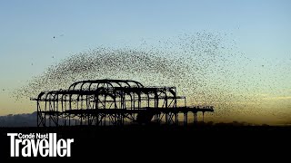 Starling murmuration in Brighton  Condé Nast Traveller [upl. by Hanala]