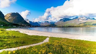 Uplifting Music  light positive happy music Gullrosøya  1 hour [upl. by Ledairam]