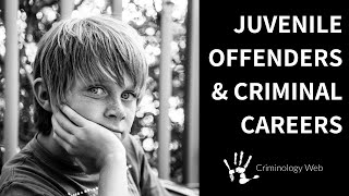 Juvenile Delinquency Two Types of Criminal Careers [upl. by Flori596]