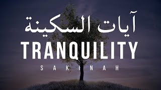 AYAT OF TRANQUILITY  SAKINAH أيات السكينة لدفع الهموم [upl. by Anitsirhk542]