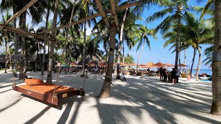 Oceanica Beach Resort Panglao Bohol Philippines [upl. by Domph]