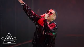 Daddy Yankee  2K20 Live Parte 2 [upl. by Anehsuc]