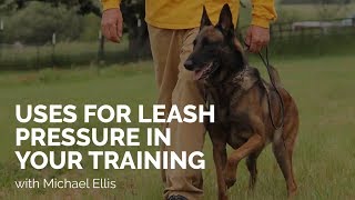 Uses for Leash Pressure in Training [upl. by Domenic]