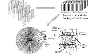 Polymer Crystallization [upl. by Ellenoj]