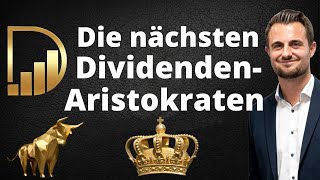 Die nächsten DividendenAristokraten  2023  Musterportfolio [upl. by Regdirb]