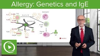 Allergic rhinitis diagnosis and treatment  Respiratory system diseases  NCLEXRN  Khan Academy [upl. by Sib]