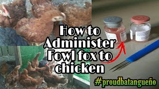 HOW TO GIVEADMINISTER FOWL POX VACCINE TO CHICKEN [upl. by Gnoz]